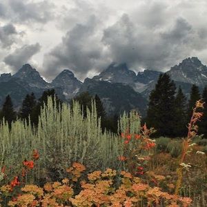 Meet your Posher, Layla